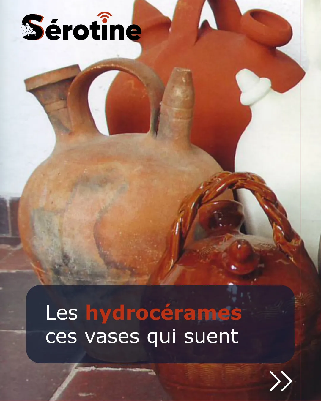 Les hydrocérames, ces vases qui suent