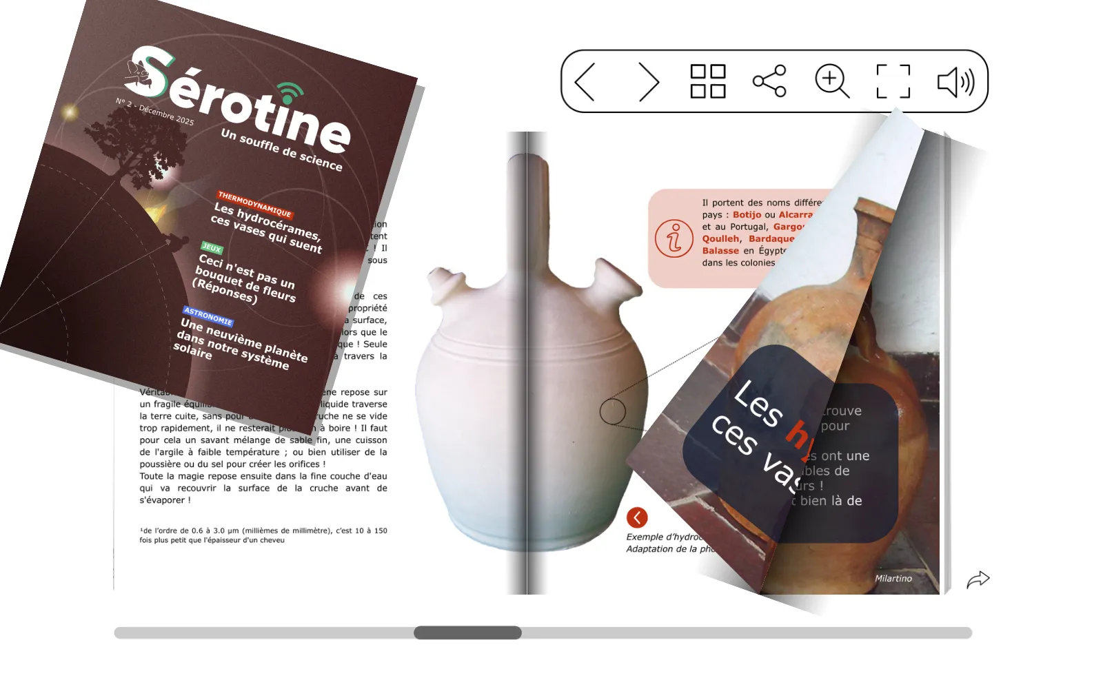 Webzine de Vulgarisation : Sérotine